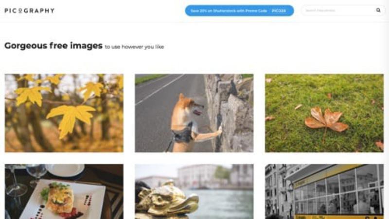 14 Picography