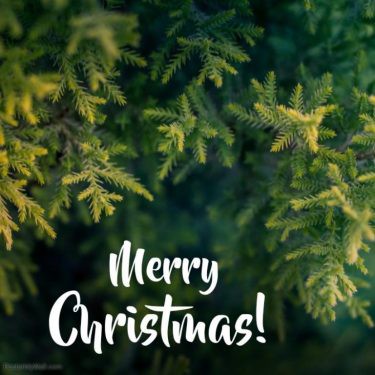 Merry Christmas Tree